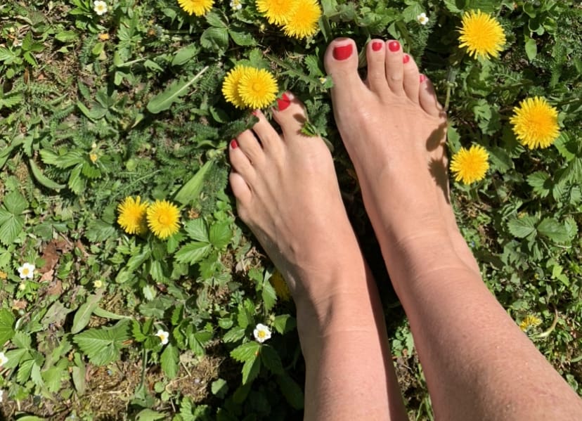 Mias nackte Füße mit rotem Nagellack auf Löwenzahnwiese